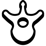 Vértebra icon