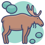 Animal icon