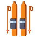 Skis icon