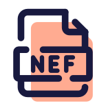 NEF icon