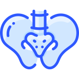 Pelvis icon