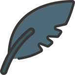 Feather icon