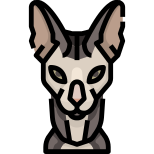 Cat icon