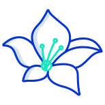 Bluebell icon