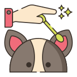 Ear Cleaning icon