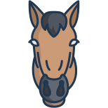 Pferd icon