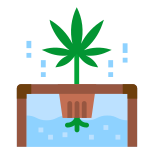 Hydroponic icon