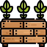 Plants icon