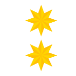 Oberstleutnant icon