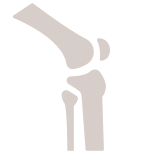 articolazione del ginocchio icon