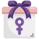 Gift Box icon