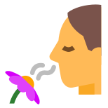 Smelling A Flower icon