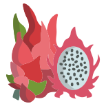 Drachenfrucht icon