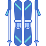 Skis icon