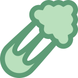 Celery icon