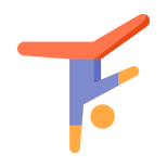 Acrobatics Skin Type 2 icon
