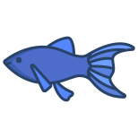 Black Molly Fish icon