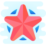 Army Star icon