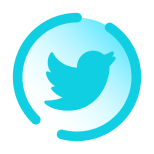 Twitter eingekreist icon