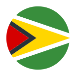 Guyana icon