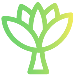 Blooming Flower icon