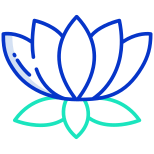 Lotus icon