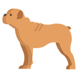 Buldogue icon