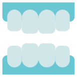 False Teeth icon