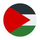 Palestine Circular icon
