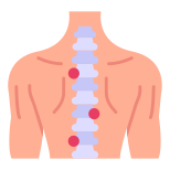 Spinal Cord icon