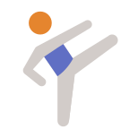 taekwondo-piel-tipo-3 icon