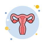 Uterus icon