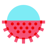 Rambutan icon