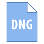 DNG icon