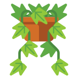 English Ivy icon