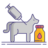 Animal Vaccination icon