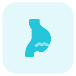 Internal medicine for infection and digestive system icon