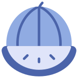 Fruit icon