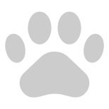 external-animal-pet-shop-creatype- flat-colourcreatype-26 icon