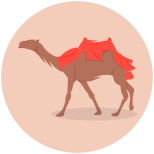 骆驼 icon