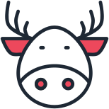 Christmas icon