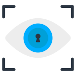 Iris Recognition icon