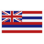 하와이 국기 icon