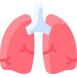 Pulmones icon