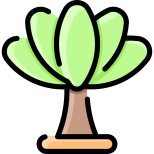 Árbol icon