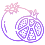 Pomegranate icon