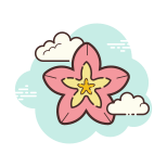 Spa Flower icon