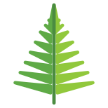 Fern icon