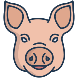 Schwein icon