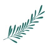 Branch icon